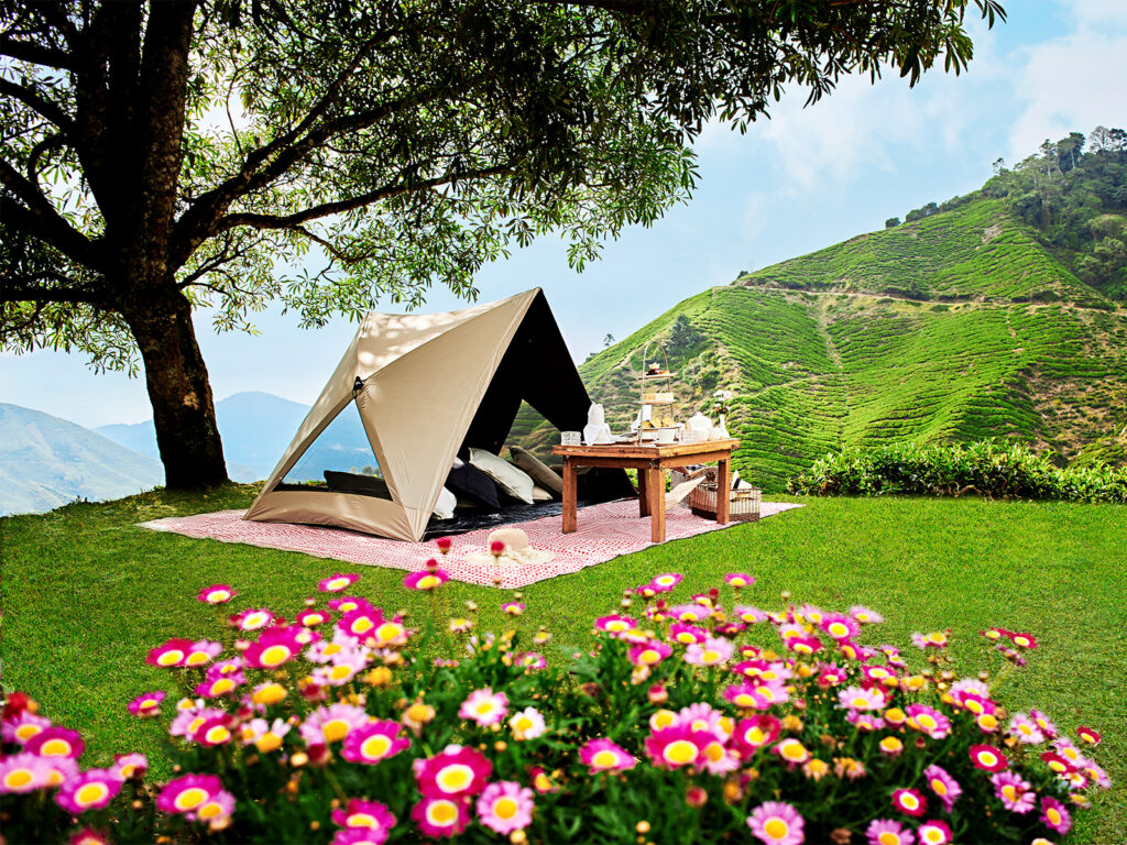 Cameron Highlands Resort photo 3