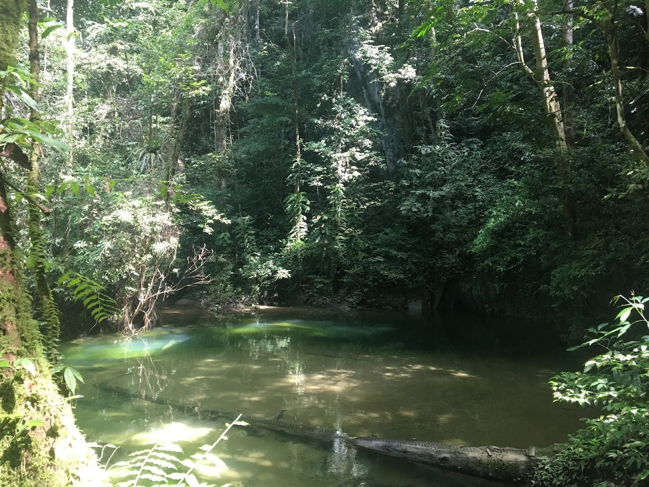 Clear Water Cave photo 1
