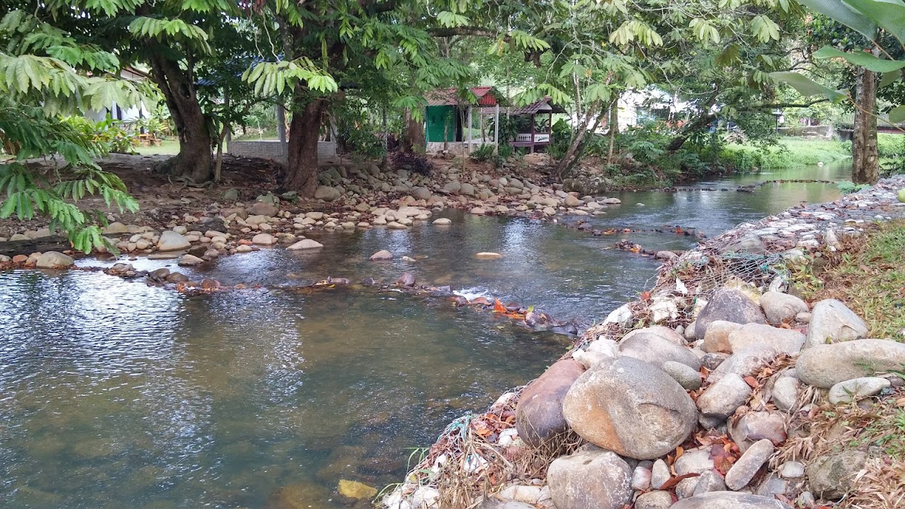 D'Ark Training & Resort photo 5