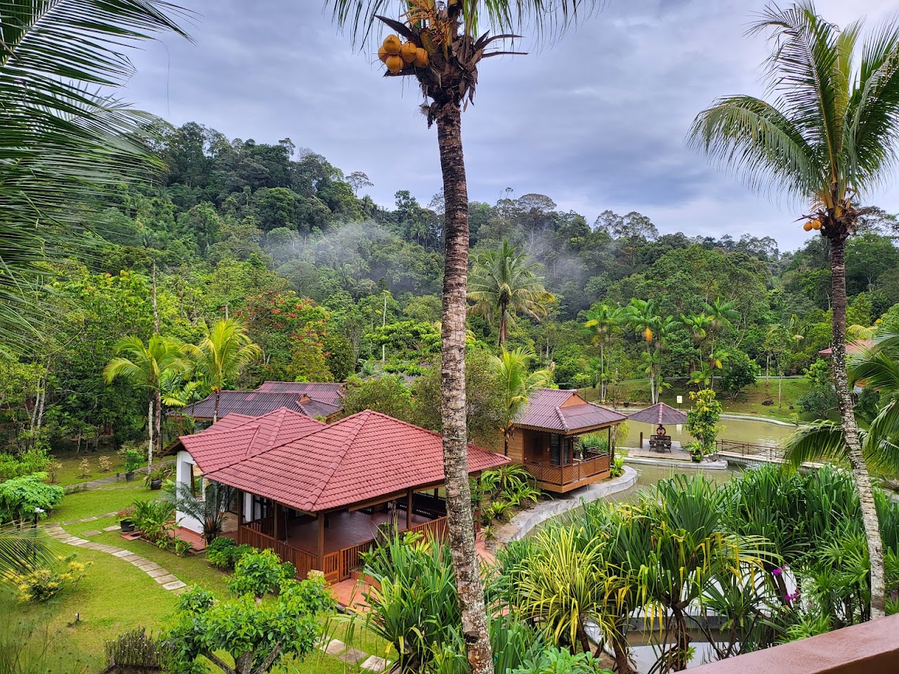 Fifty4Ferns Resort photo 1