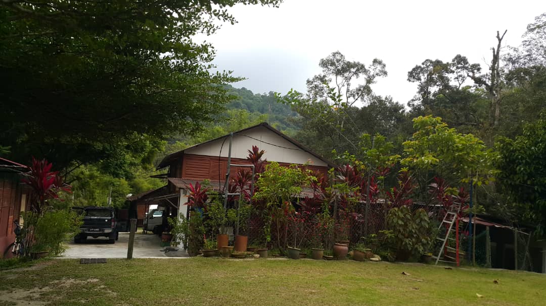 Gopeng Rainforest Resort photo 1