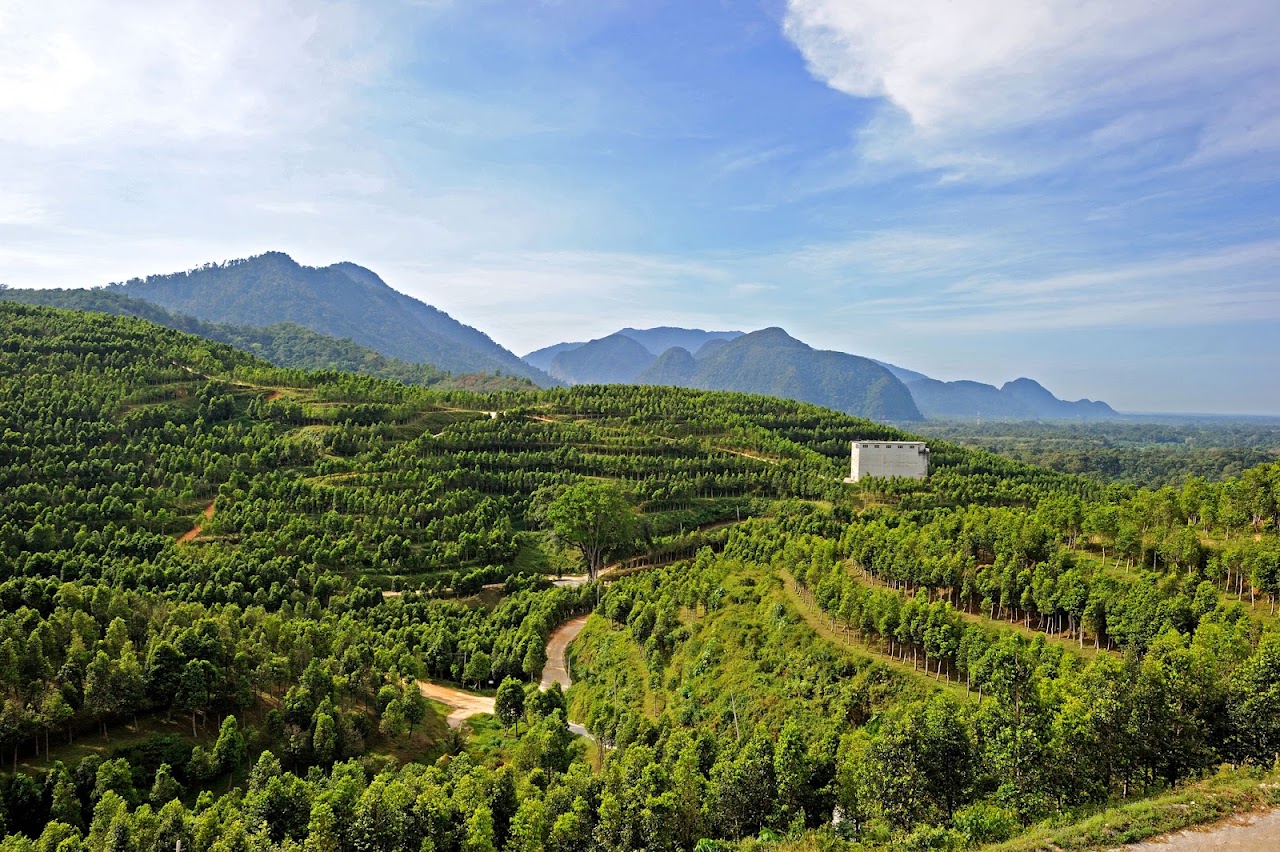 HOGA, Gaharu Tea Valley Gopeng photo 1
