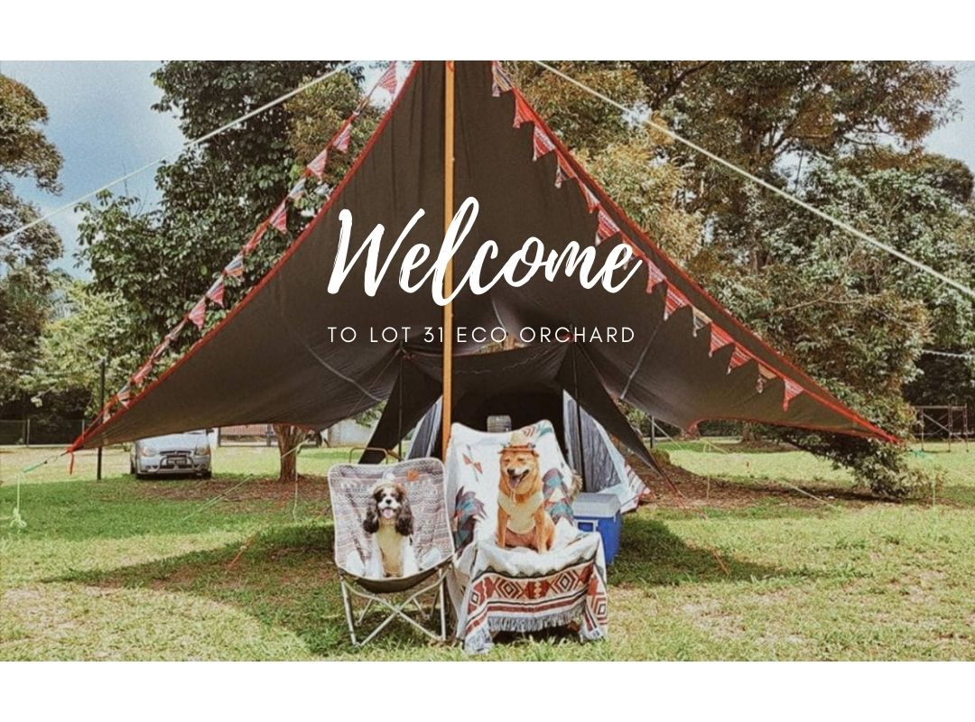 Lot 31 Eco Orchard photo 4