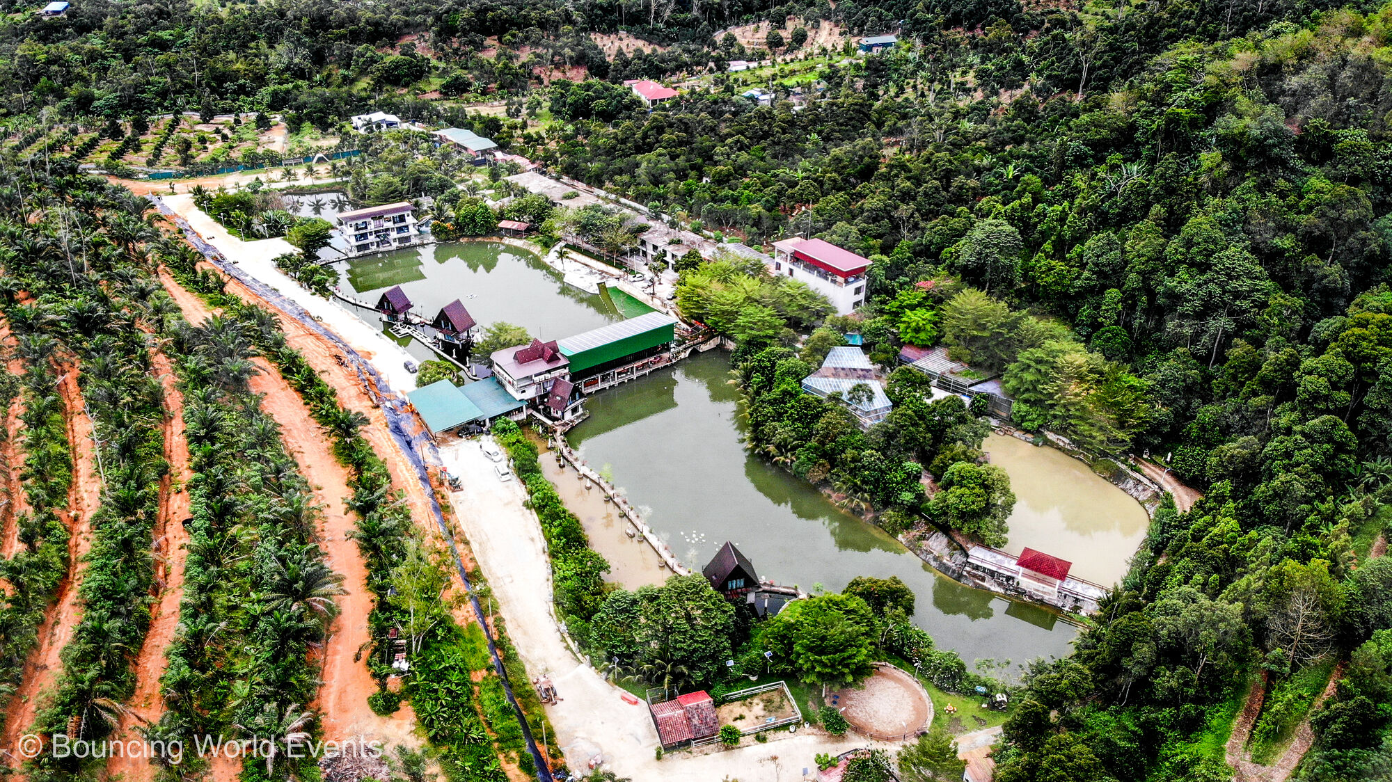 Mantin Forest Art Farmstay photo 1