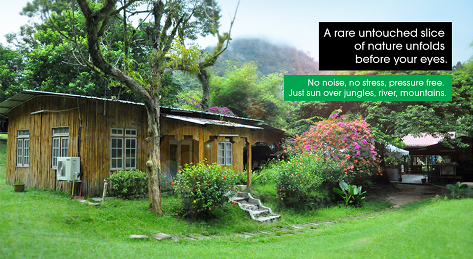 My Gopeng Resort Perak photo 1