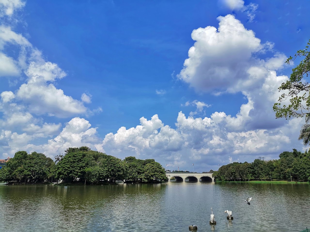 Putrajaya Wetlands Park photo 1