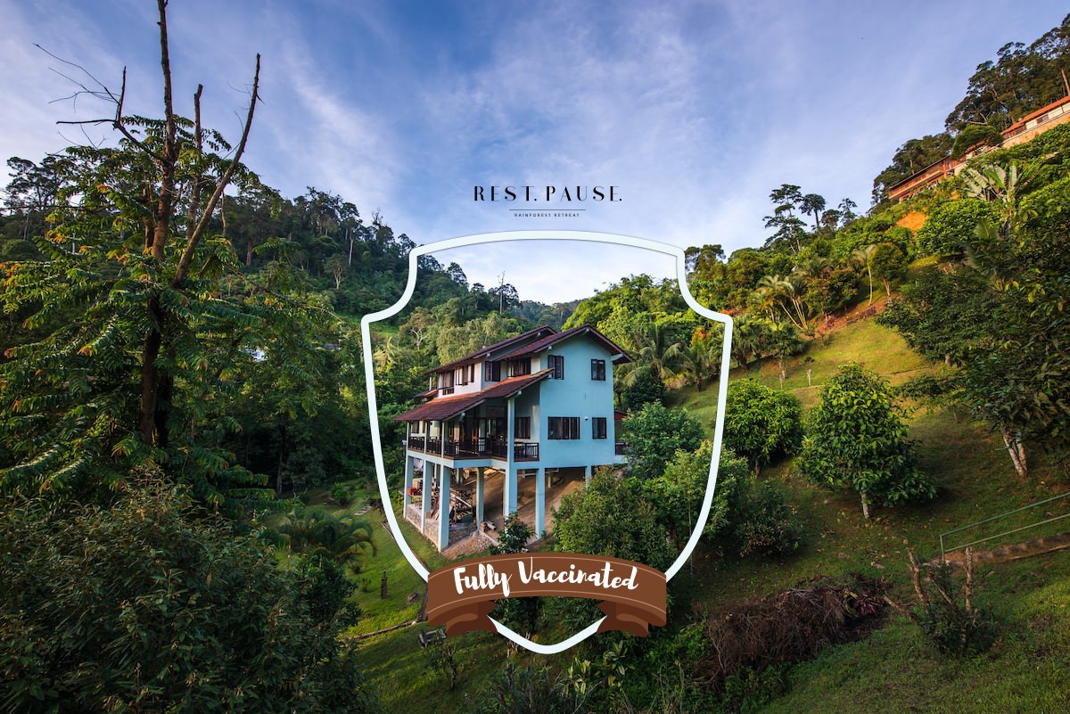Rest. Pause. Rainforest Retreat photo 1