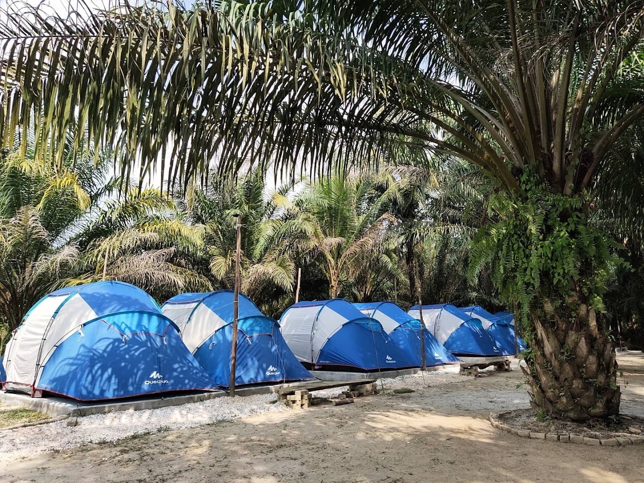 REX CAMP SITE PERAK | TAPAK PERKHEMAHAN & REKREASI GOPENG photo 1