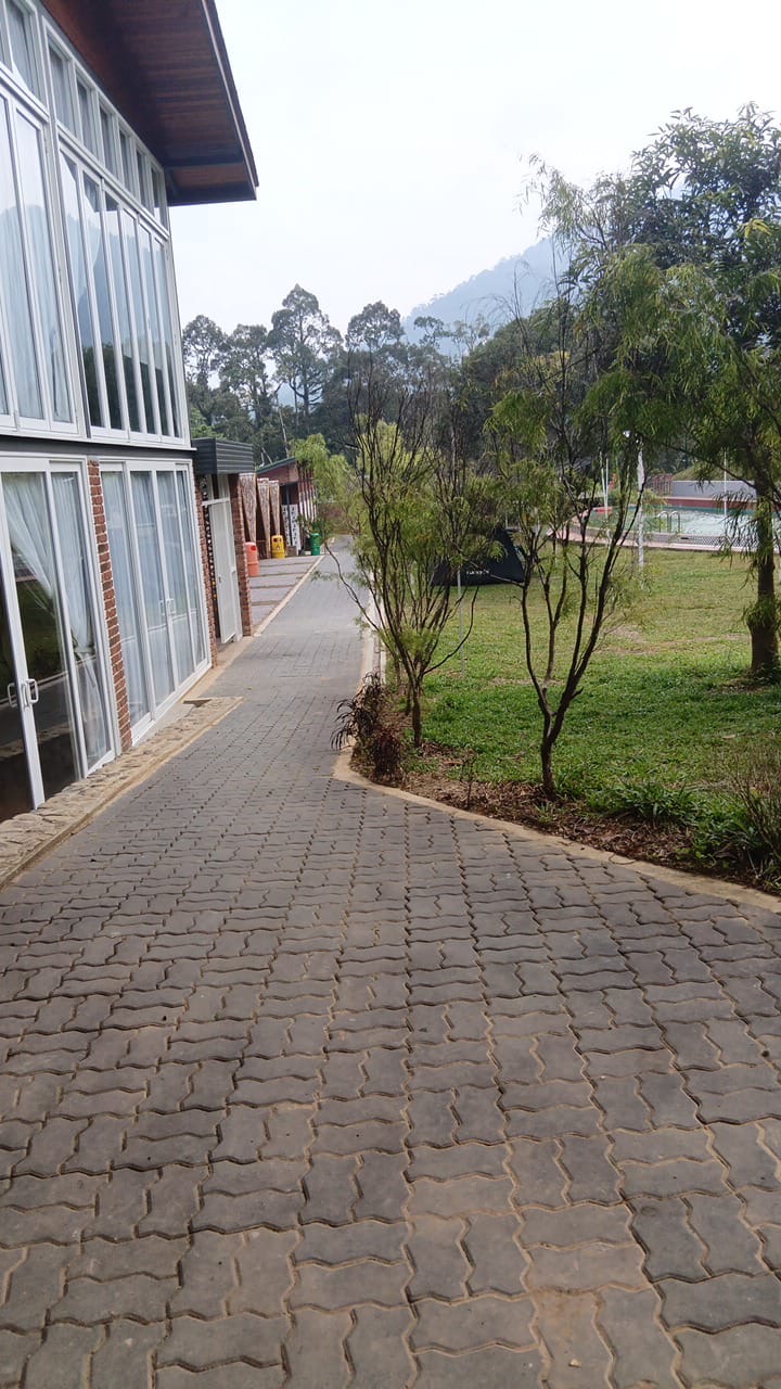 Woodstock Camp Janda Baik photo 1